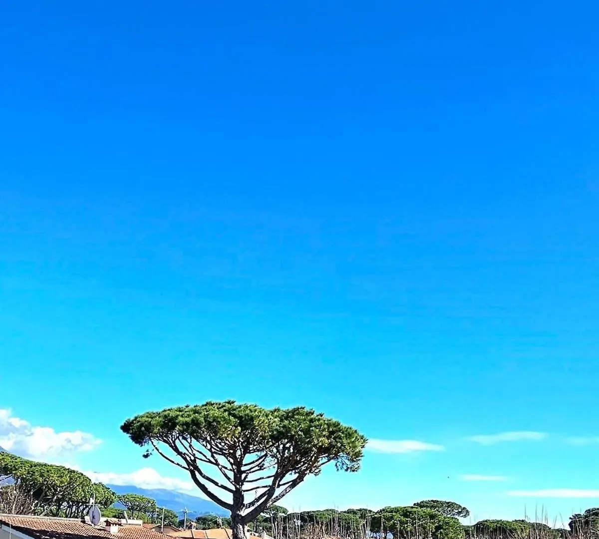 Charme E Relax A Forte Dei Marmi Al Mare E Centro Ιταλία